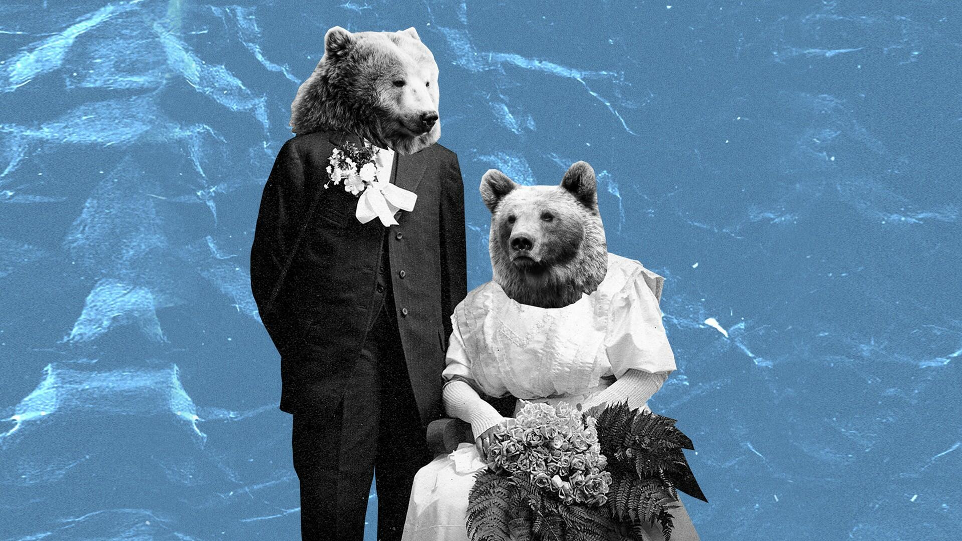 The Bear and The Marriage Proposal