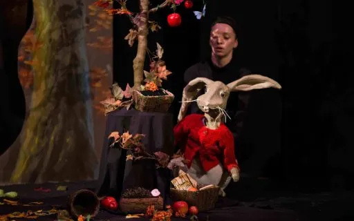 loulou visuel loulou visuel